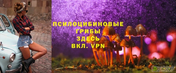 ГАЛЛЮЦИНОГЕННЫЕ ГРИБЫ Баксан